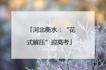 河北衡水：“花式解压”迎高考