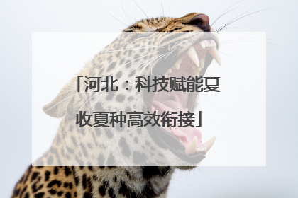 河北：科技赋能夏收夏种高效衔接