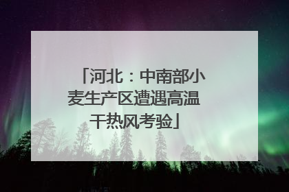 河北：中南部小麦生产区遭遇高温干热风考验