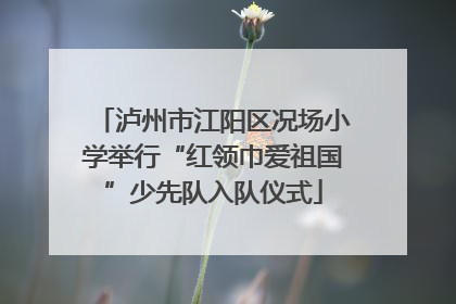 泸州市江阳区况场小学举行“红领巾爱祖国”少先队入队仪式