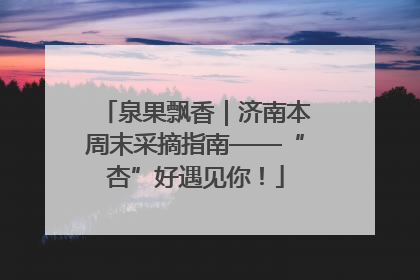 泉果飘香｜济南本周末采摘指南——“杏”好遇见你！