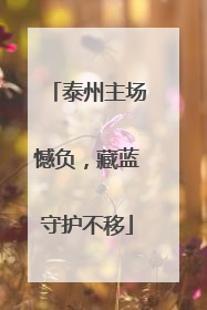 泰州主场憾负，藏蓝守护不移
