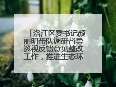 洛江区委书记颜丽明带队调研督导巡视反馈意见整改工作，推进生态环境保护建设