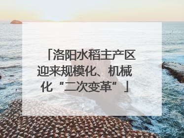 洛阳水稻主产区迎来规模化、机械化“二次变革”