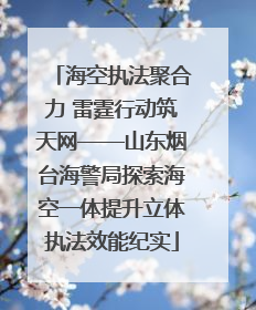 海空执法聚合力 雷霆行动筑天网——山东烟台海警局探索海空一体提升立体执法效能纪实