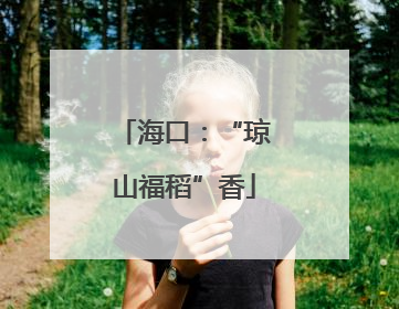 海口：“琼山福稻”香