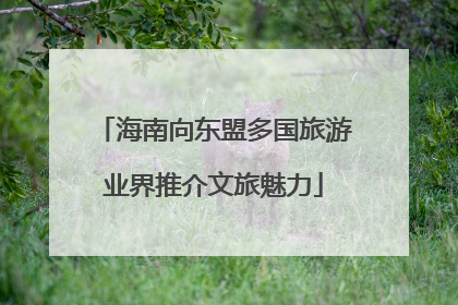 海南向东盟多国旅游业界推介文旅魅力