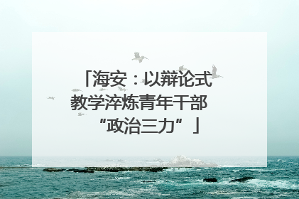 海安：以辩论式教学淬炼青年干部“政治三力”
