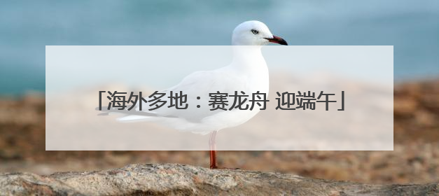 海外多地：赛龙舟 迎端午