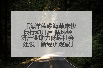 海洋蓝碳海草床修复行动开启 循环经济产业助力低碳社会建设丨新经济观察