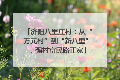 济阳八里庄村：从“万元村”到“新八里”，强村富民路正宽