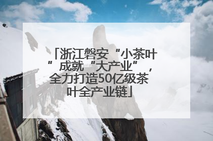 浙江磐安“小茶叶”成就“大产业”，全力打造50亿级茶叶全产业链