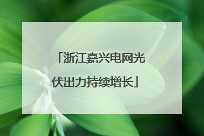浙江嘉兴电网光伏出力持续增长