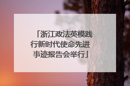 浙江政法英模践行新时代使命先进事迹报告会举行
