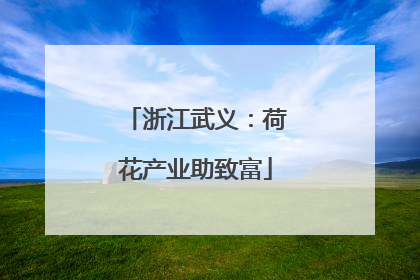 浙江武义：荷花产业助致富
