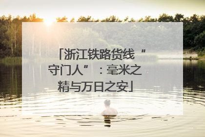 浙江铁路货线“守门人”：毫米之精与万日之安