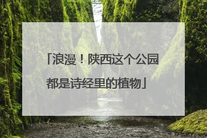 浪漫！陕西这个公园都是诗经里的植物