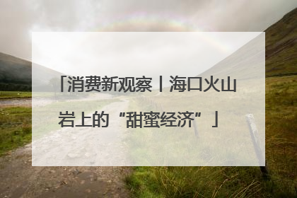 消费新观察丨海口火山岩上的“甜蜜经济”