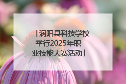 涡阳县科技学校举行2025年职业技能大赛活动