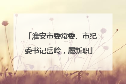 淮安市委常委、市纪委书记岳岭，履新职