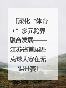 深化“体育+”多元跨界融合发展——江苏省首届匹克球大赛在无锡开赛