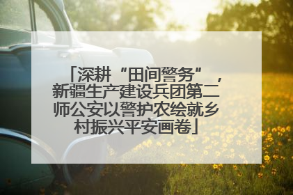 深耕“田间警务”，新疆生产建设兵团第二师公安以警护农绘就乡村振兴平安画卷