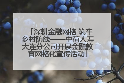 深耕金融网格 筑牢乡村防线——中荷人寿大连分公司开展金融教育网格化宣传活动