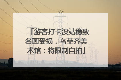 游客打卡没站稳致名画受损，乌菲齐美术馆：将限制自拍