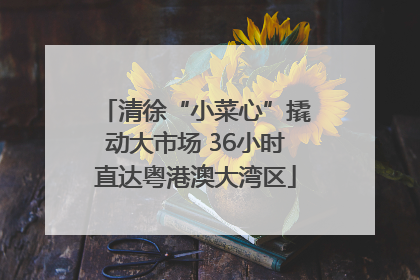 清徐“小菜心”撬动大市场 36小时直达粤港澳大湾区