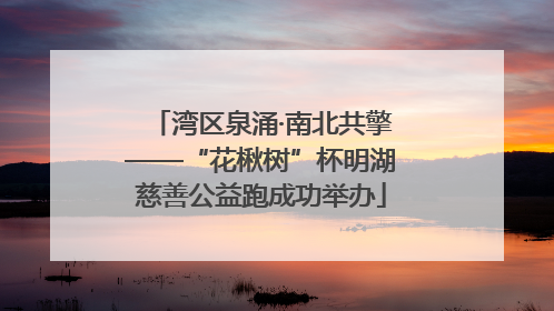 湾区泉涌·南北共擎——“花楸树”杯明湖慈善公益跑成功举办