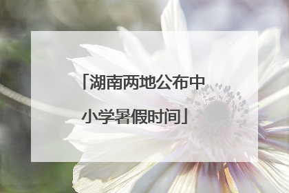 湖南两地公布中小学暑假时间