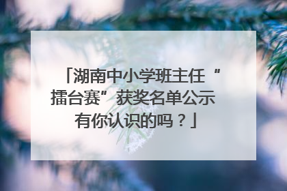 湖南中小学班主任“擂台赛”获奖名单公示 有你认识的吗？