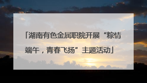 湖南有色金属职院开展“粽情端午，青春飞扬”主题活动