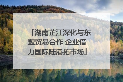 湖南芷江深化与东盟贸易合作 企业借力国际陆港拓市场