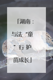 湖南：与法“童”行 护苗成长