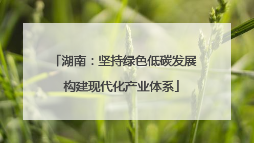 湖南：坚持绿色低碳发展 构建现代化产业体系