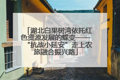 湖北白果树湾依托红色资源发展的蝶变——“抗战小延安”走上农旅融合振兴路