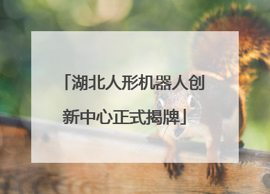 湖北人形机器人创新中心正式揭牌