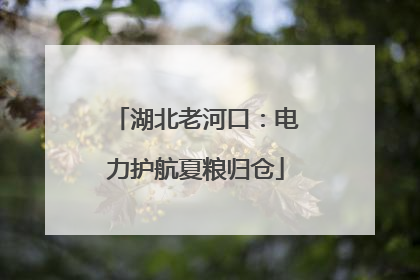 湖北老河口：电力护航夏粮归仓