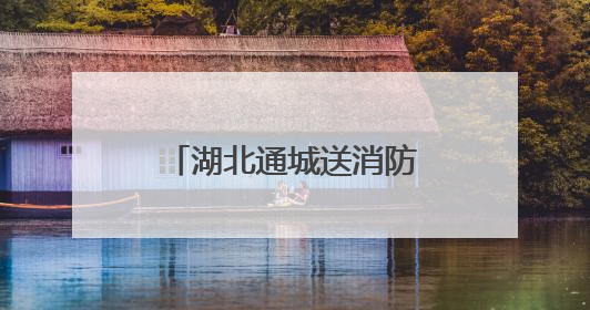 湖北通城送消防安全“处方”到乡镇医疗机构