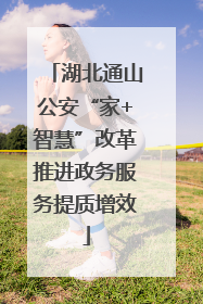 湖北通山公安“家+智慧”改革推进政务服务提质增效