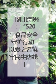 湖北鄂州：“520”食品安全守护行动 以爱之名筑牢民生防线
