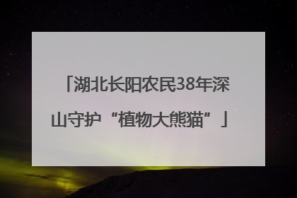 湖北长阳农民38年深山守护“植物大熊猫”