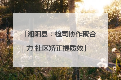 湘阴县：检司协作聚合力 社区矫正提质效