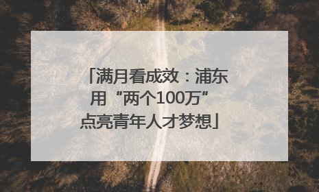 满月看成效：浦东用“两个100万”点亮青年人才梦想