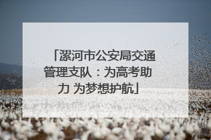 漯河市公安局交通管理支队：为高考助力 为梦想护航