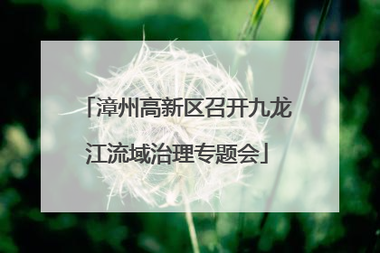 漳州高新区召开九龙江流域治理专题会