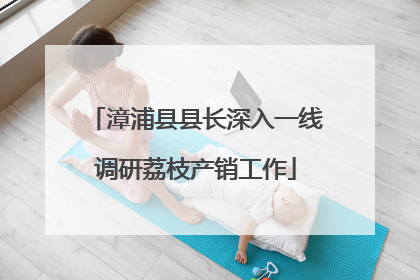 漳浦县县长深入一线调研荔枝产销工作