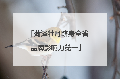 菏泽牡丹跻身全省品牌影响力第一