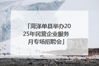 菏泽单县举办2025年民营企业服务月专场招聘会